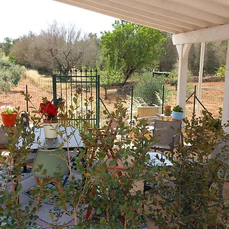 Villa Aurora Santa Maria al Bagno Eksteriør bilde