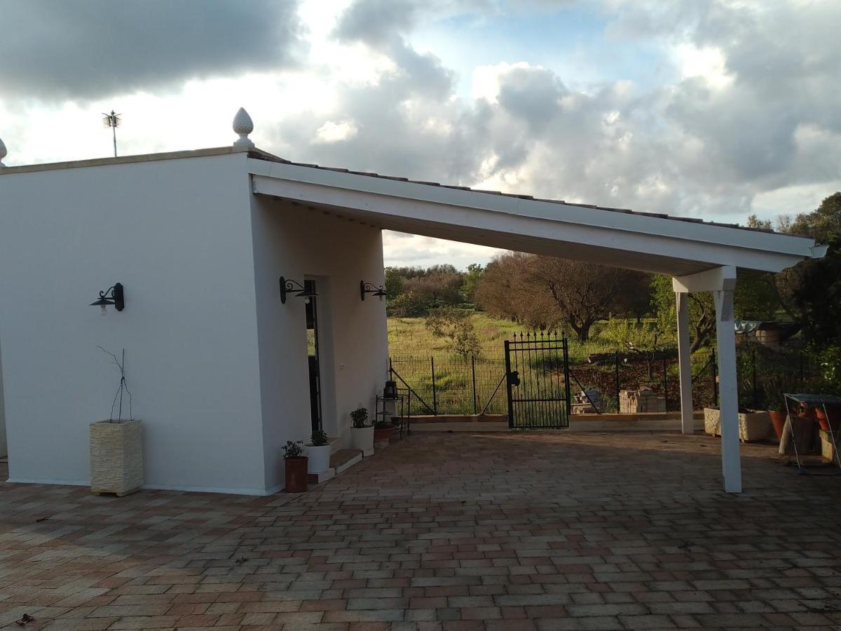 Villa Aurora Santa Maria al Bagno Eksteriør bilde