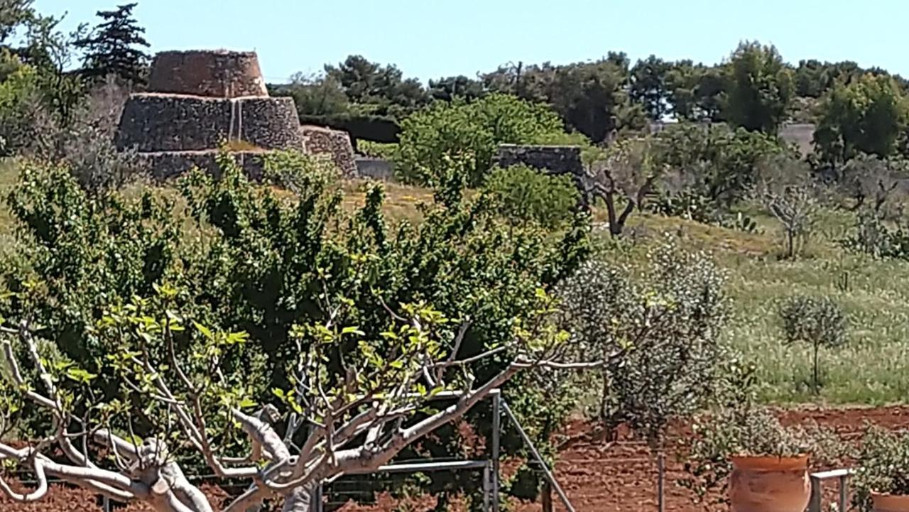 Villa Aurora Santa Maria al Bagno Eksteriør bilde